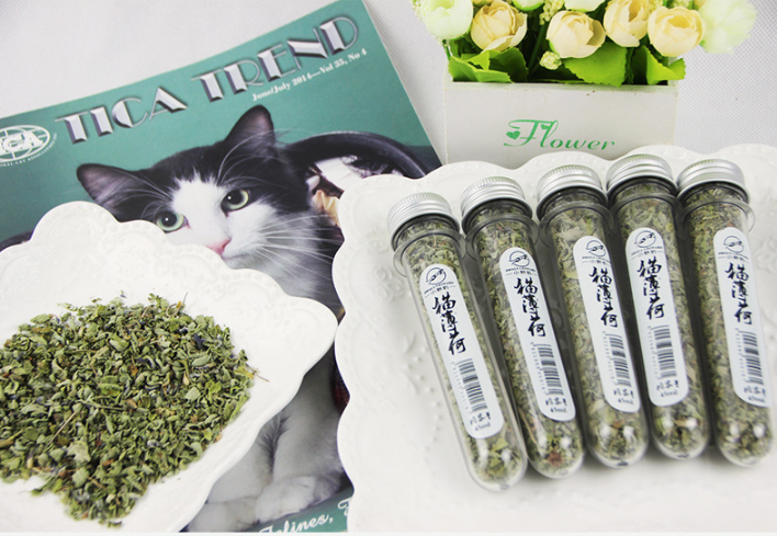Cỏ mèo Catnip, CỎ BẠC HÀ SMALL LEOPARD CHO MÈO (45ml)