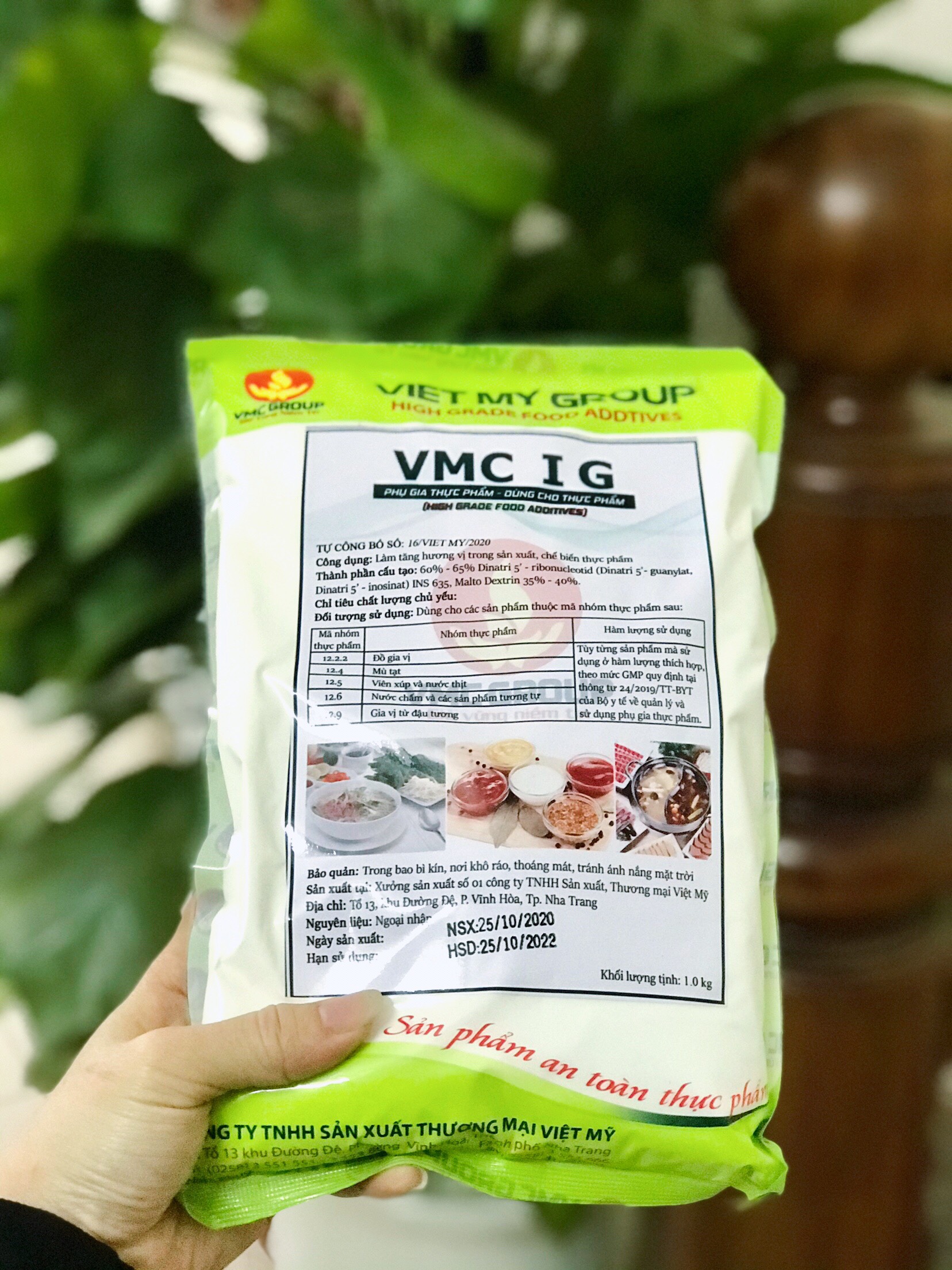 ĐIỀU VỊ THAY THẾ THAY THẾ MỲ CHÍNH - VMC IG