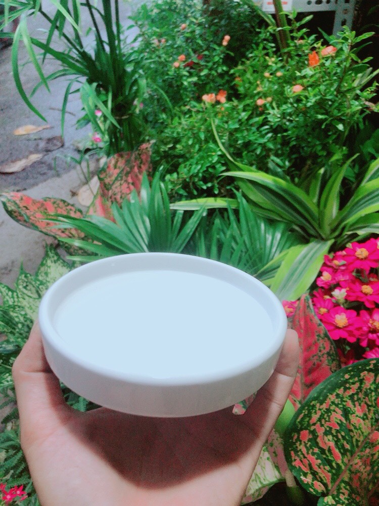 Đĩa Lót Chậu (đường kính 12cm)