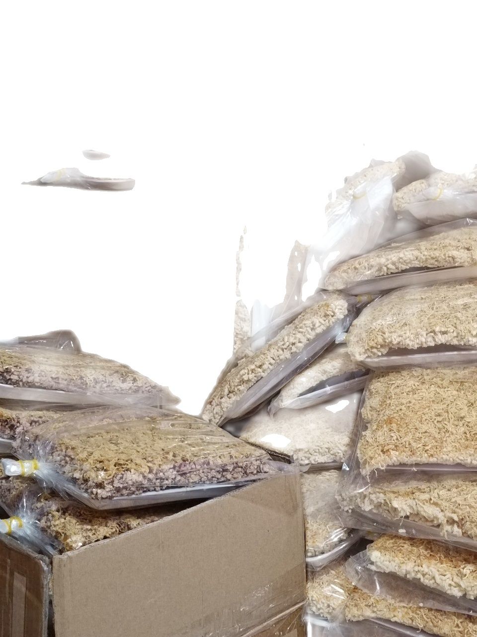 250g cơm cháy chà bông