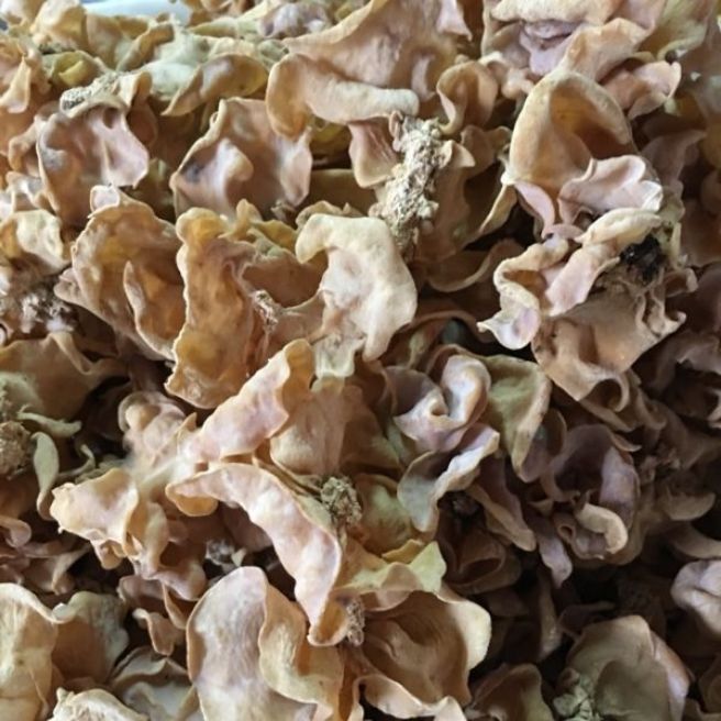 Sỉ toàn quốc 100g mộc nhĩ trắng