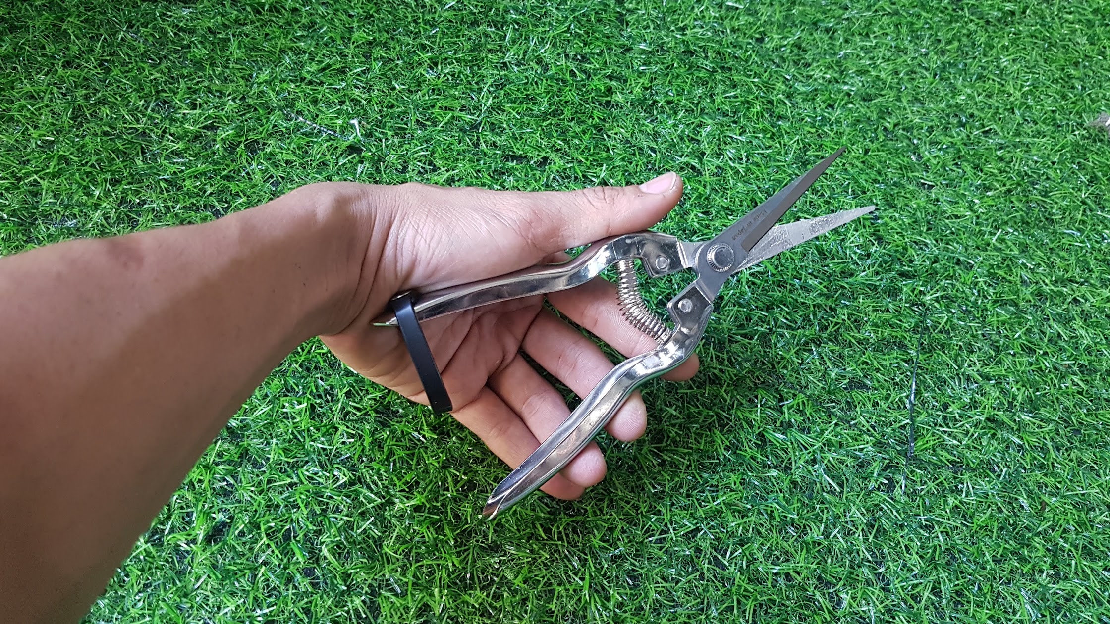 Kéo nhọn răng cưa chuyên cắt cành hoa