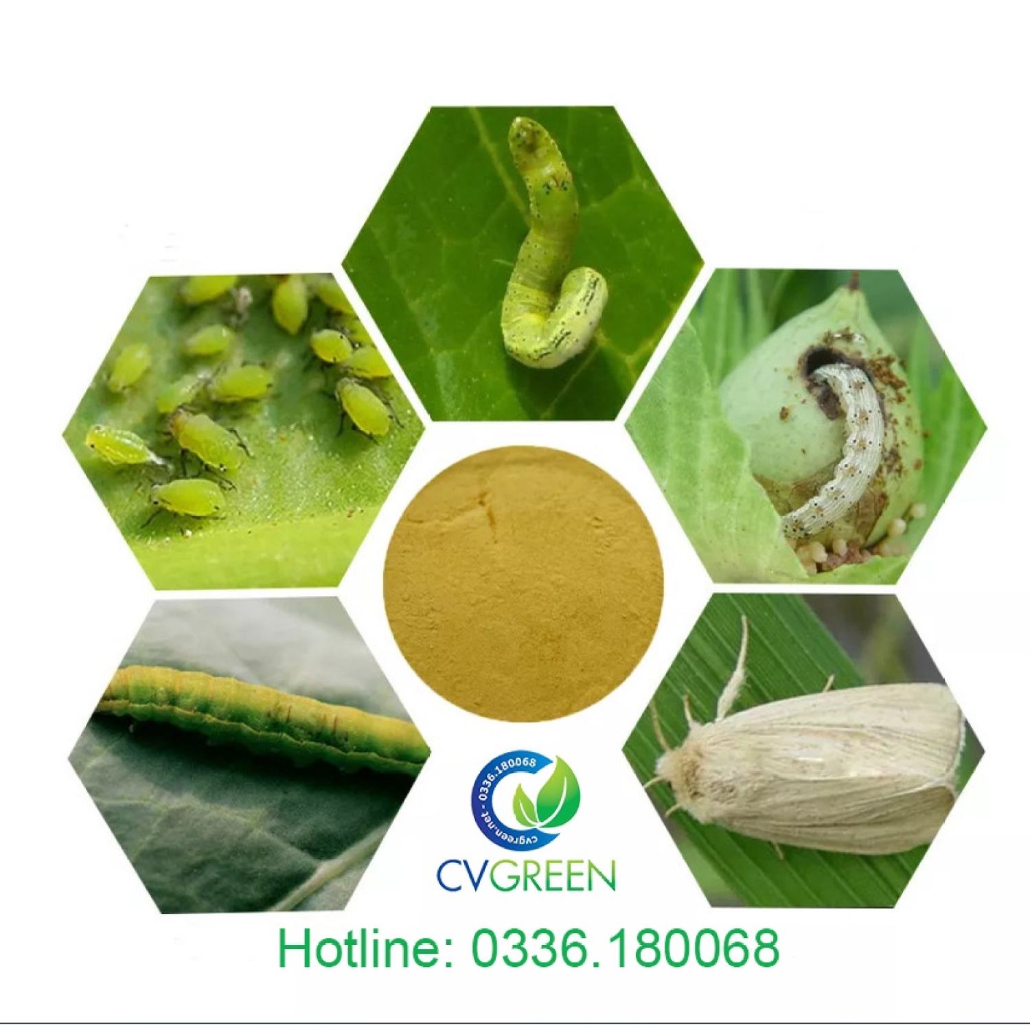 thuốᴄ trừsâu sinh học Bacillus thuringiensis (gói 1kg)