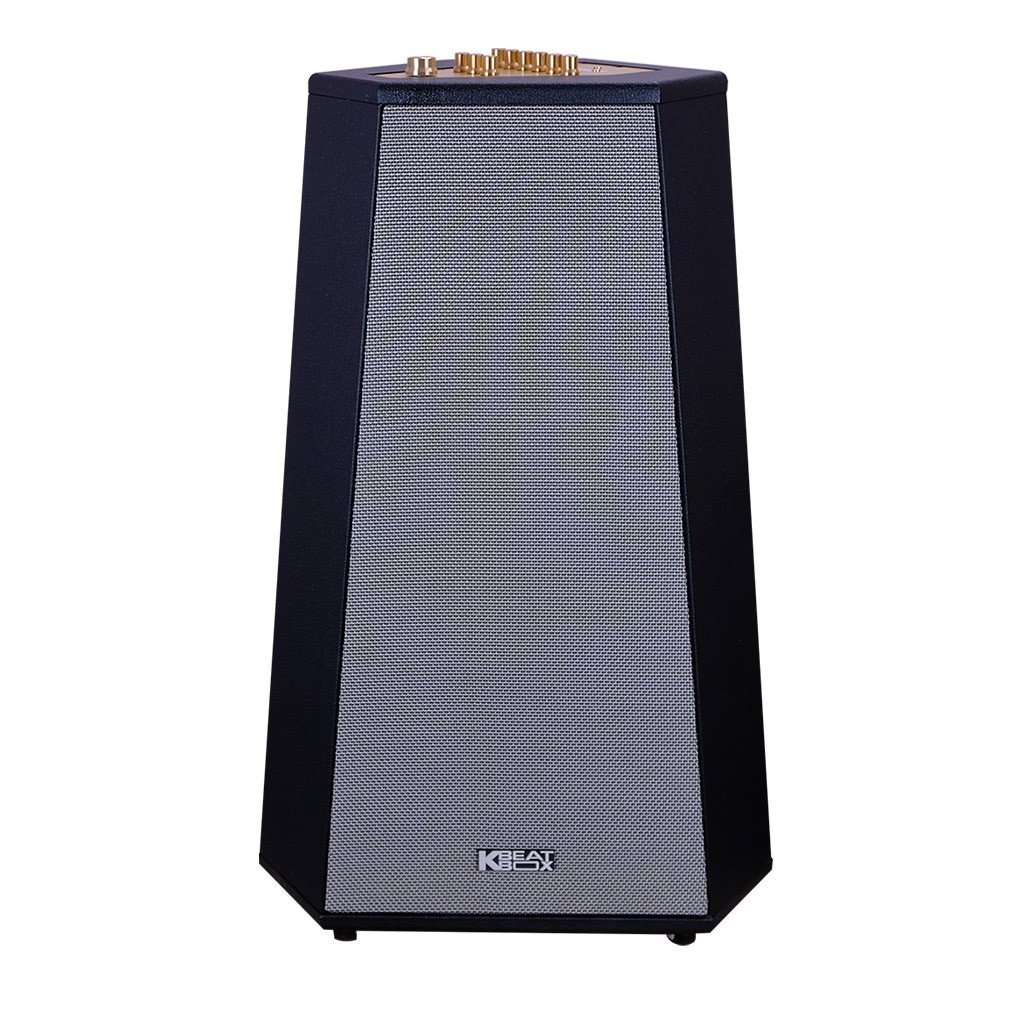 Loa kéo di động acnos cs500