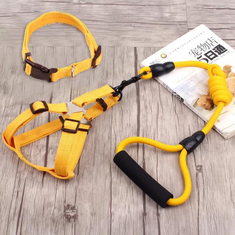 [HCM]Dây dắt 3 in 1 ( Dây dắt Vòng cổ Đai bụng) cho thú cưng
