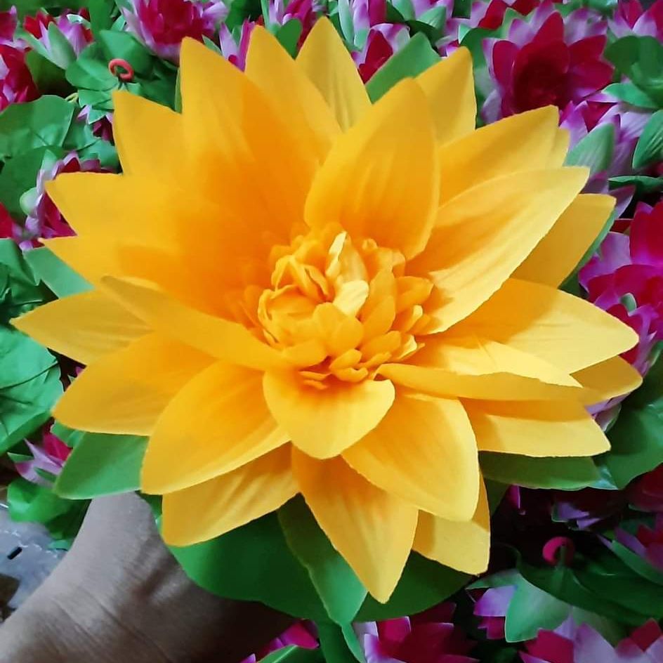 Water lyly flowers with elastic bands for dancing