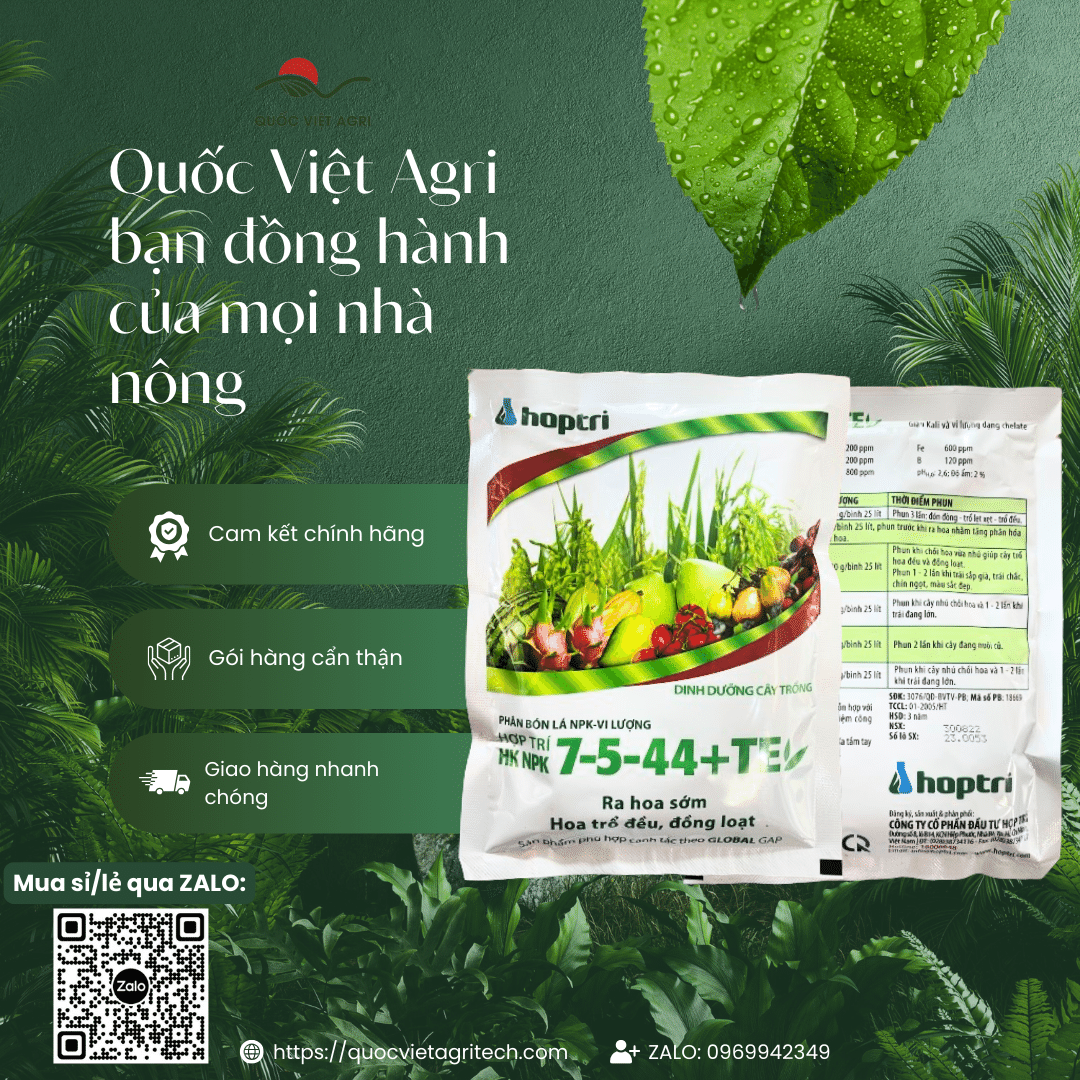 Phân bón lá Hợp Trí HK NPK 7-5-44+TE (gói 250g) - Ngọt trái, Bóng trái