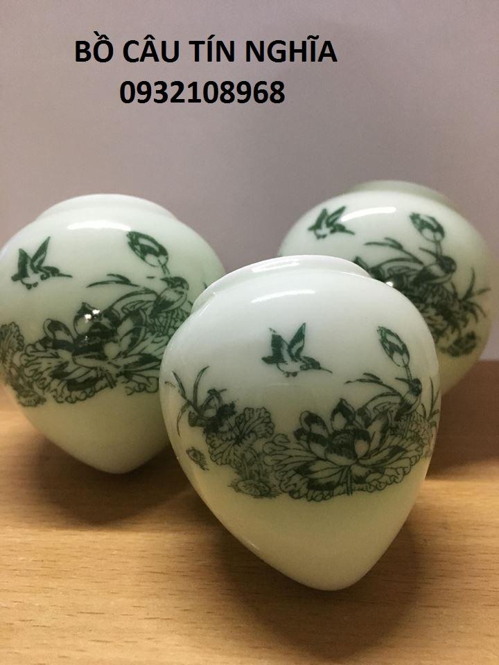 [HOÀN TIỀN 10%]cóng cho chim ăn 02