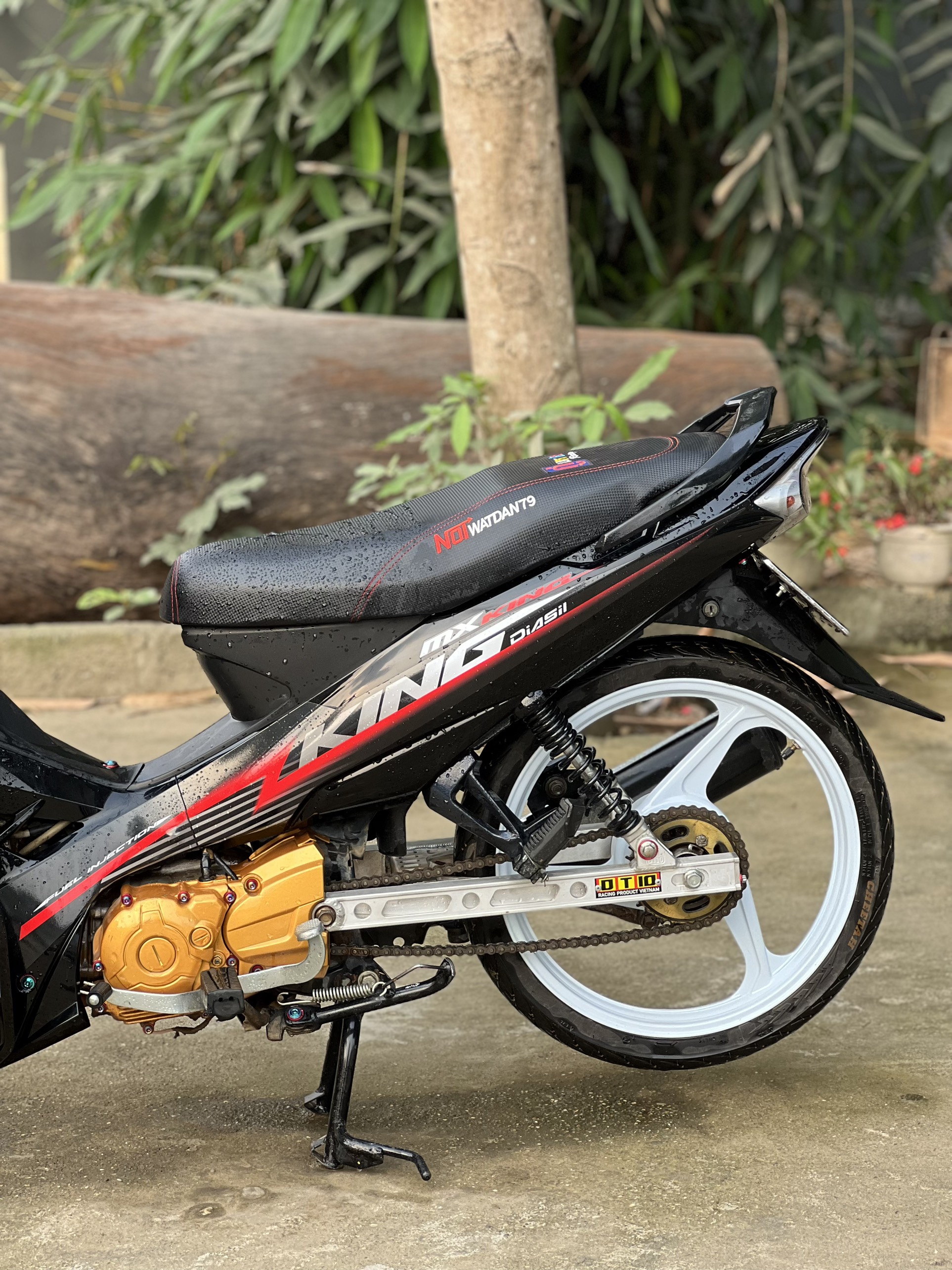 Tem rời sirius mẫu Mxking