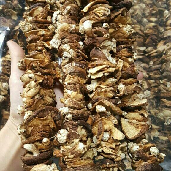 nấm hương rừng 1kg
