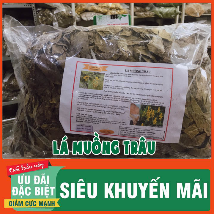Lá Muồng Trâu Khô 1kg Loại Đặc Biệt - Dược Liệu Thanh Bình