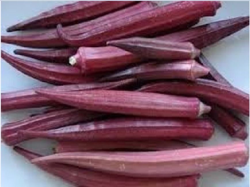Combo 4 gói hạt giống ăn trái dễ trồng