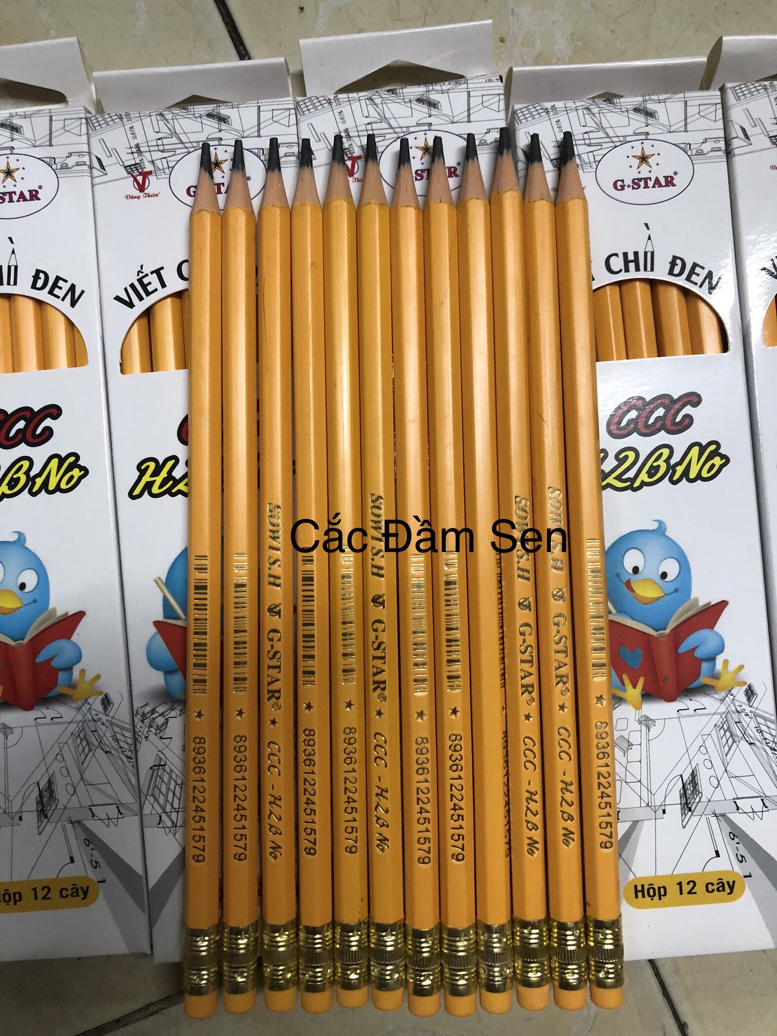 bút chì 2B hàng chuốt sẵn hộp 12 cây