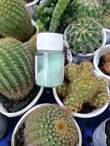 [HCM]Phân bón thúc rễ cho cây trồng