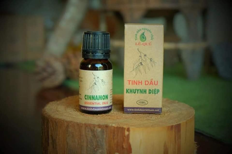 (Lê quế) Tinh dầu khuynh diệp Chai 10ml - 50ml Diệt khuẩn, khử mùi nấm mốc, làm ấm cơ thể Koshka Home