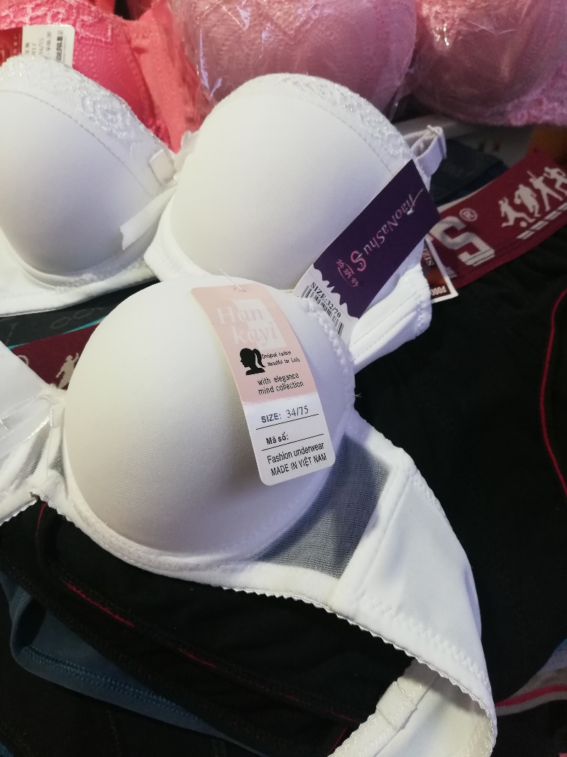 Áo ngực học sinh Trơn