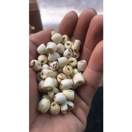 Hạt sen khô ngon bở gói 100g - hàng loại 1