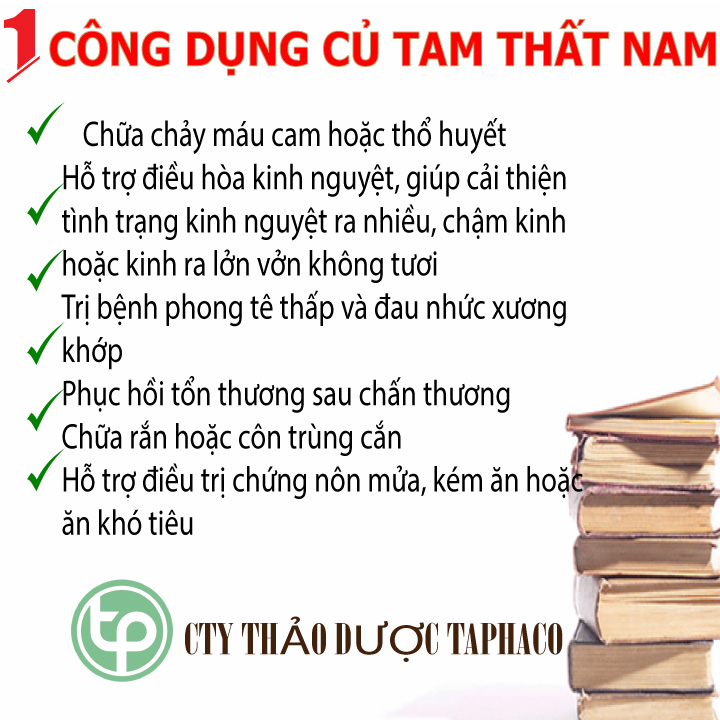 Củ tam thất nam 100g - Dược Tấn Phát - Hàng sạch thơm cao cấp