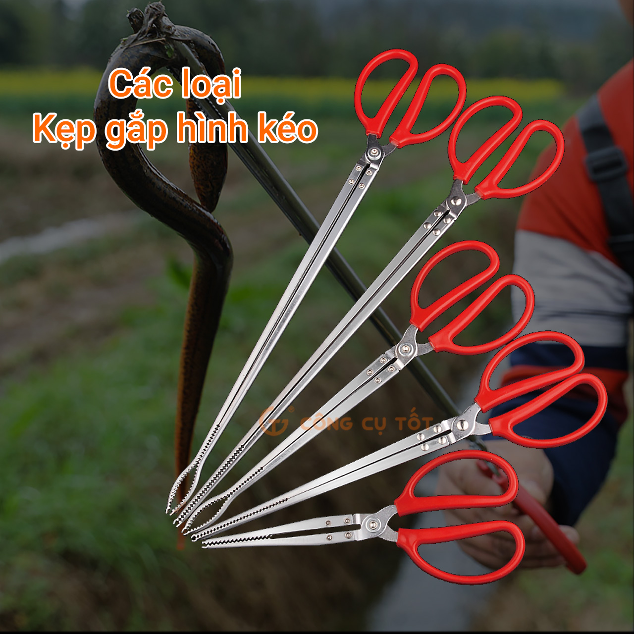 Kẹp gắp dài hình kéo mũi nhọn thẳng