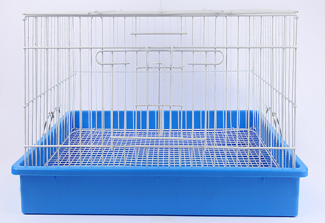1 LỒNG NUÔI VẸT NON, THỎ, MÈO CON (NHẬP KHẨU NAN DÀY, MÀU NGẪU NHIÊN THEO KHO CỦA SHOP)