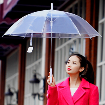 Ô Dù Trong Suốt Chụp Ảnh