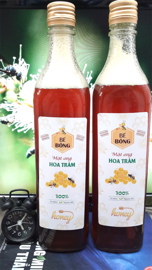 VỎ CHAI THỦY TINH 250ML / 300ML / 500ML / 700ML / 750ML / 1000ML / TRÒN - VUÔNG