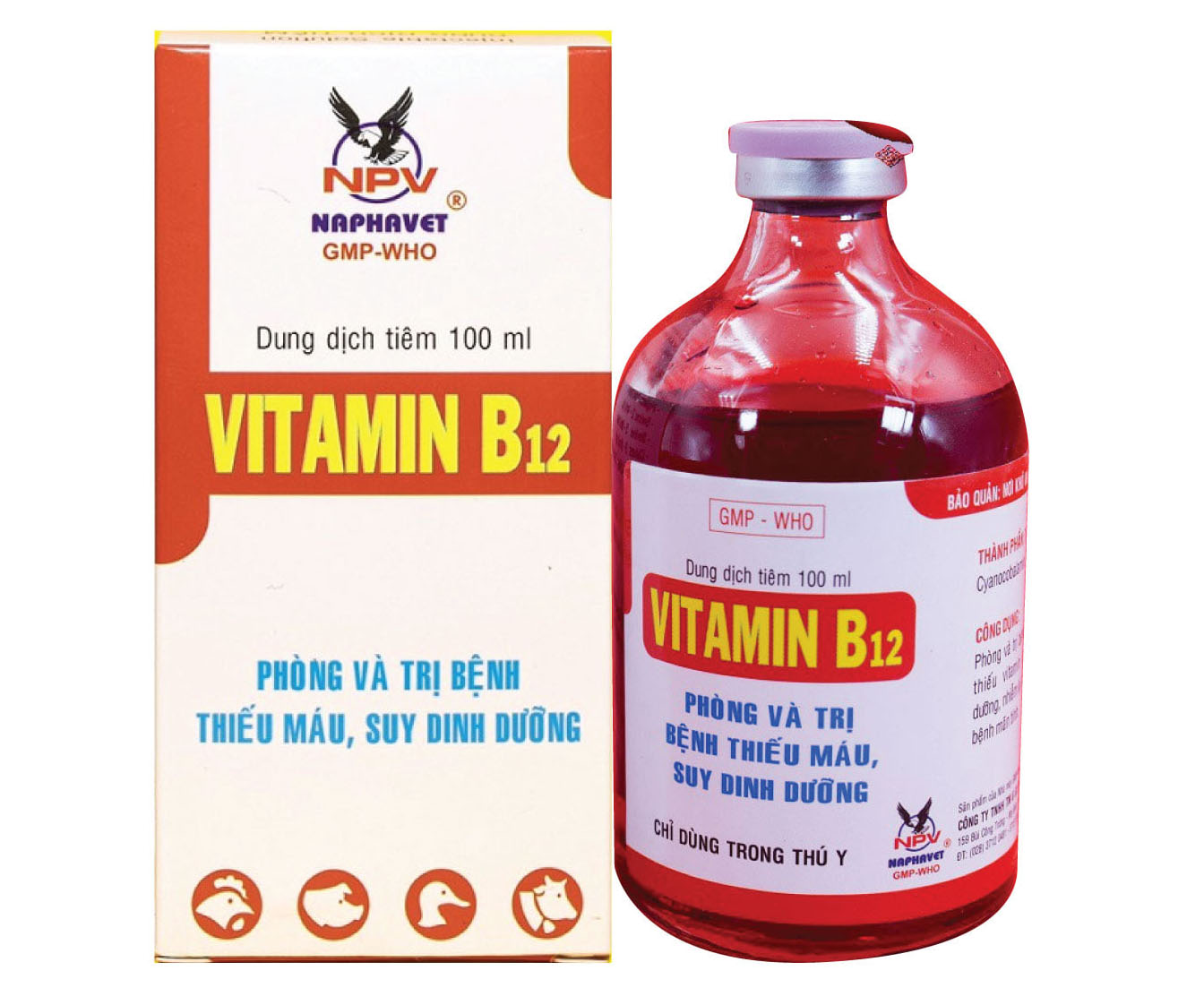 Vitamin b12 100ml cho gà đá