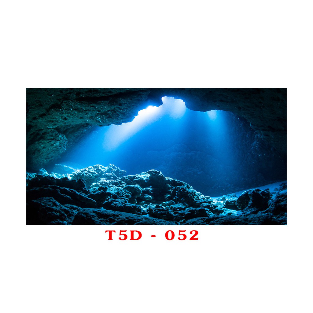 Tranh 3d bể cá mã t5d-052 kt