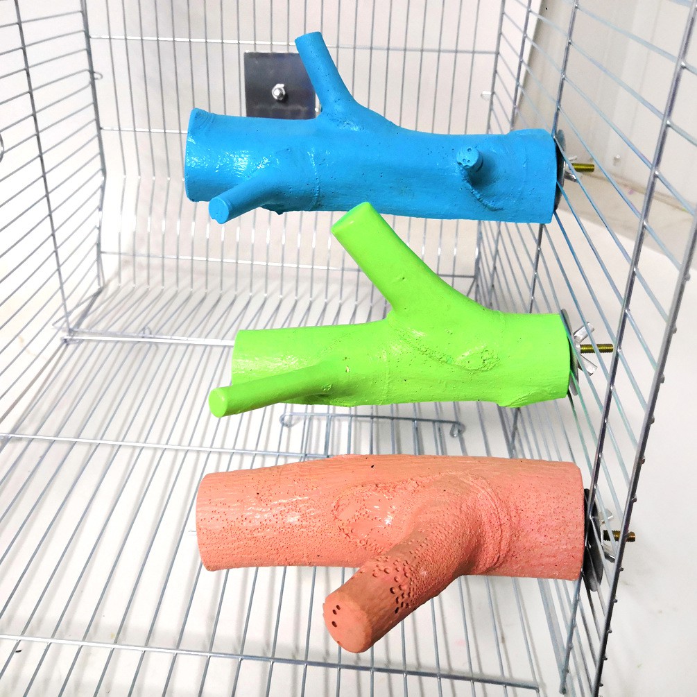 Cây san hô đứng dành cho Chim giúp vẹt mài móng