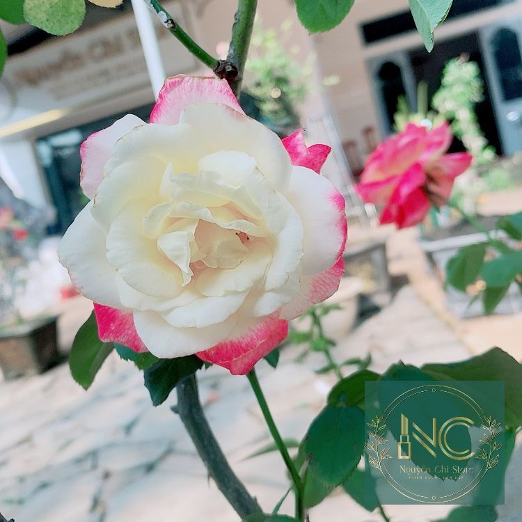 [ MAKE-UP] Máy Ép Tóc Mini Nhỏ Gọn Cho Phái Đẹp