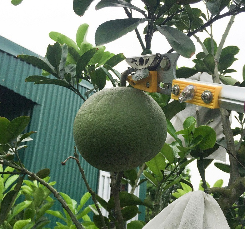 Kéo cắt cành trên cao