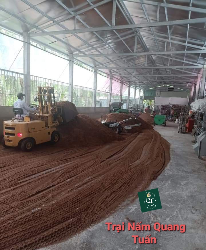 Combo: Phôi Nấm Mối Đen (01 kiện hàng 8 bịch )&Có kèm Sơ Dừa Đủ Trồng