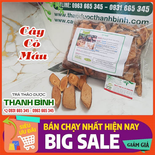 Cây Cỏ Máu Khô 100g Hàng Loại 1 - Thảo Dược Thanh Bình