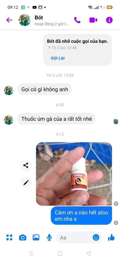 ÚM GÀ CON MỚI NỞ SIÊU ĐỈNH, CHICKEN BABY