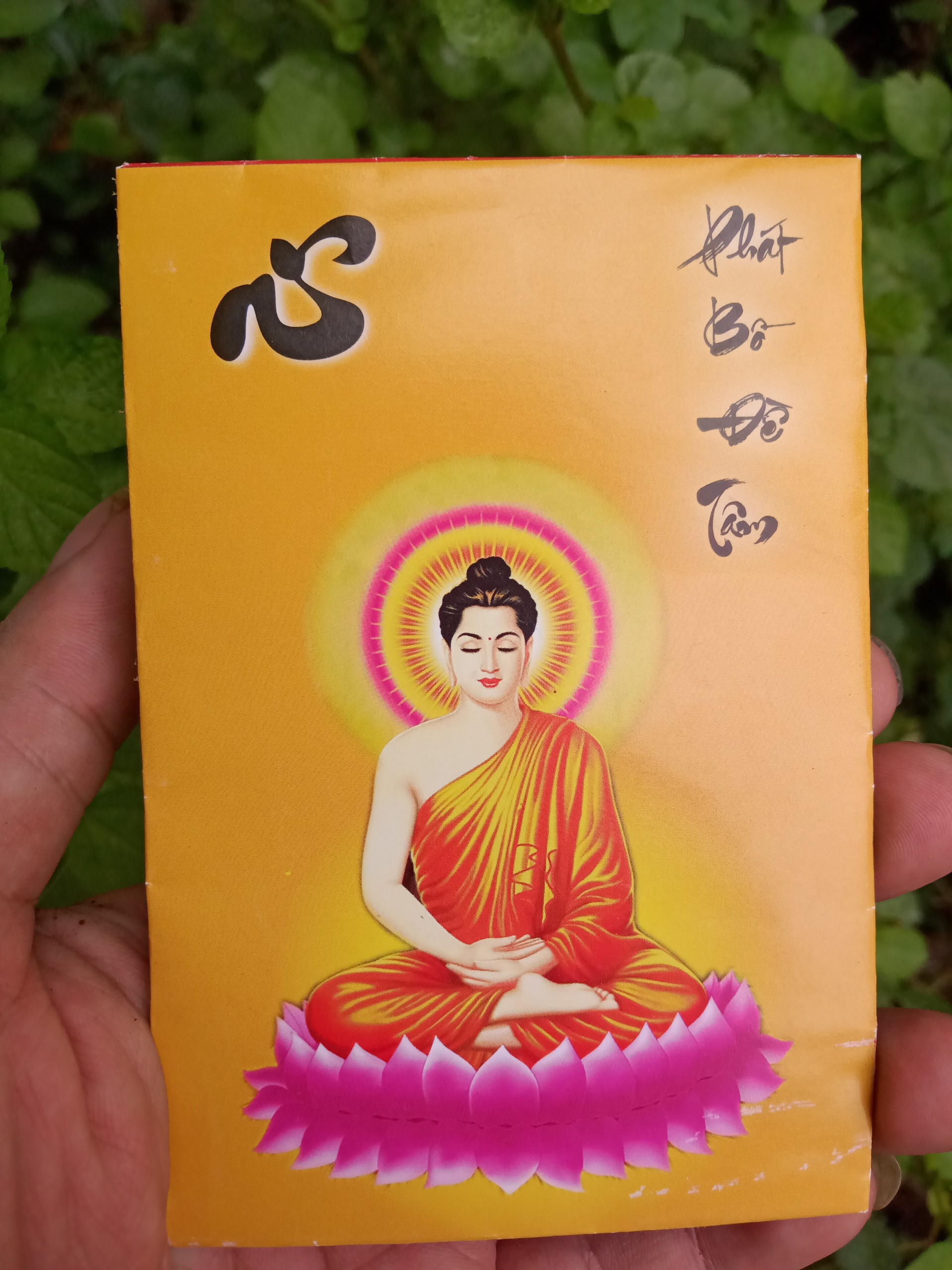 Phong bao đựng lá bồ đề mẫu mới