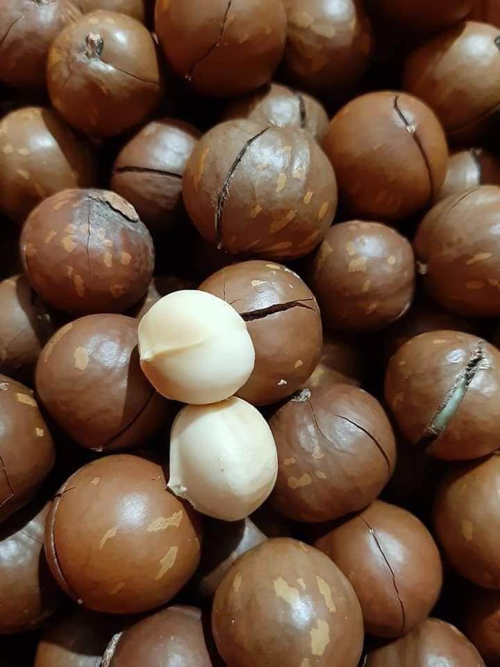 HẠT MACCA 1KG