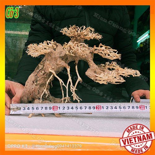Cây gỗ lũa thủy sinh dùng cho bể cá cảnh, gỗ lúa cao cấp (Mẫu 13)