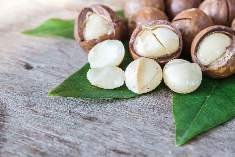 Hạt Macca nứt vỏ Úc Hộp 500g