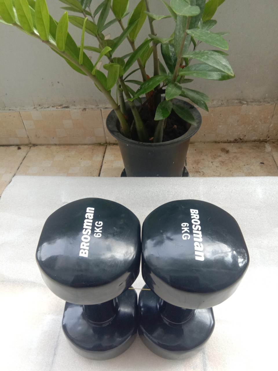 Tạ tay 6kg Brosman nhập khẩu (Bộ 2 cái tạ sắt 6kg màu đen)