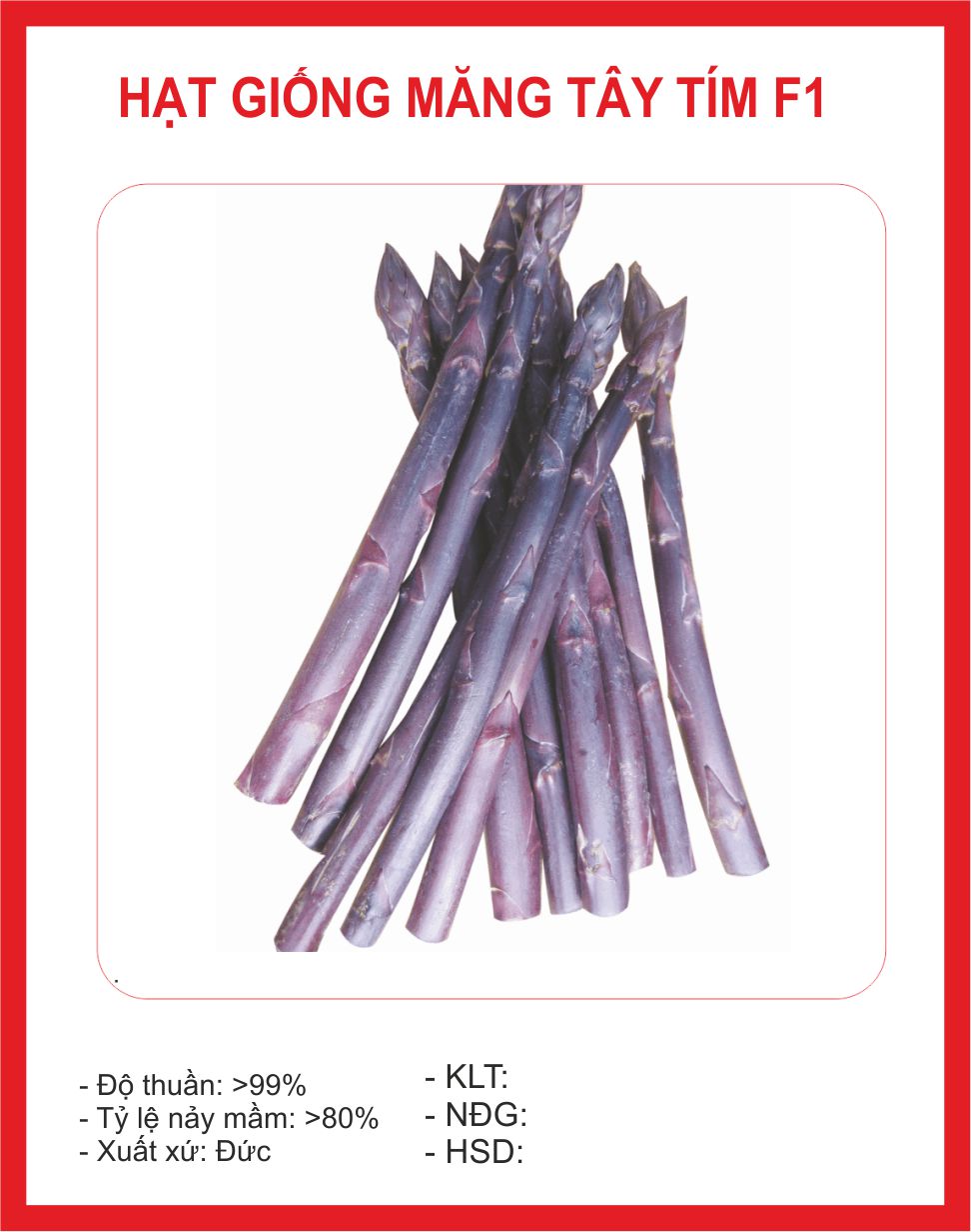Hạt Giống Măng Tây Tím 10 hạt