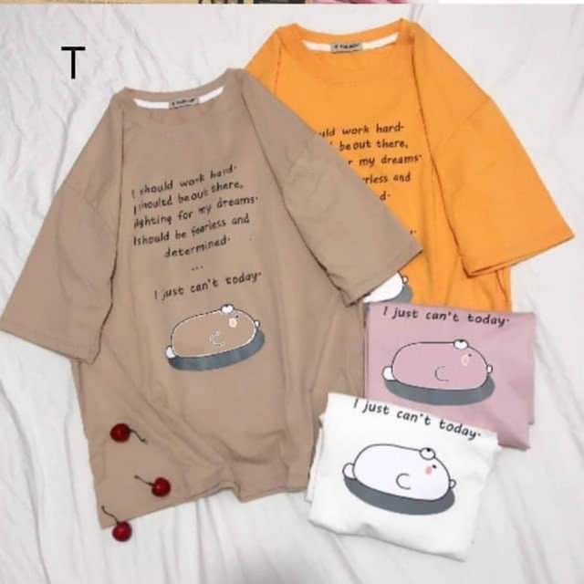 Áo phông chữ gấu nằm DTR0220