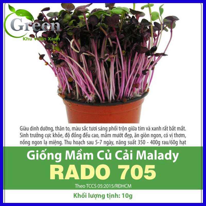 Hạt Giống Rau Mầm Củ Cải MALADY
