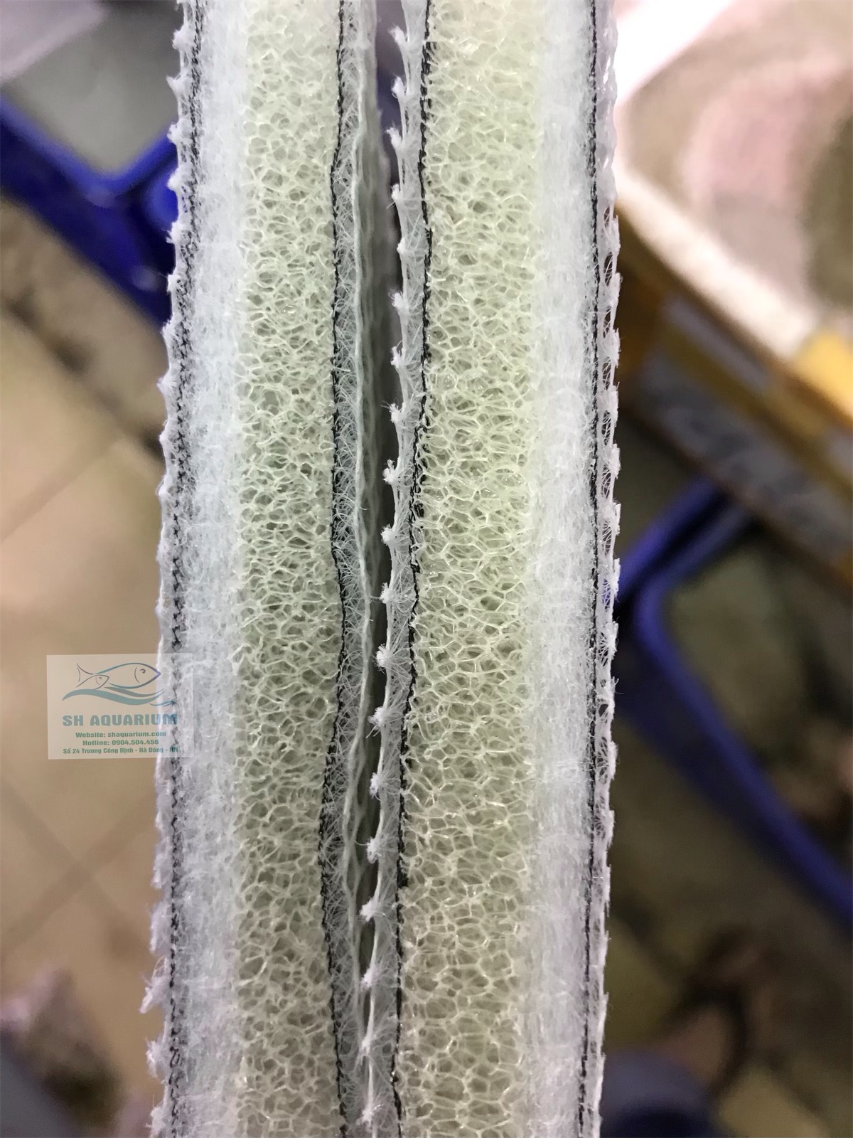 BÔNG LỌC 6D THẾ HỆ MỚI