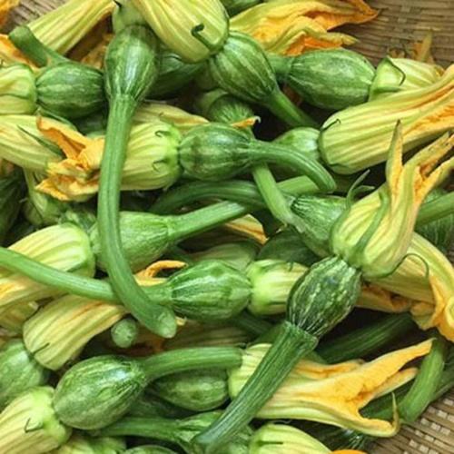 Combo 5 Túi Hạt Bí Siêu Nụ. Mỗi Túi 10 Gram - Năng Xuất Cao - Nhiều Dinh Dưỡng.