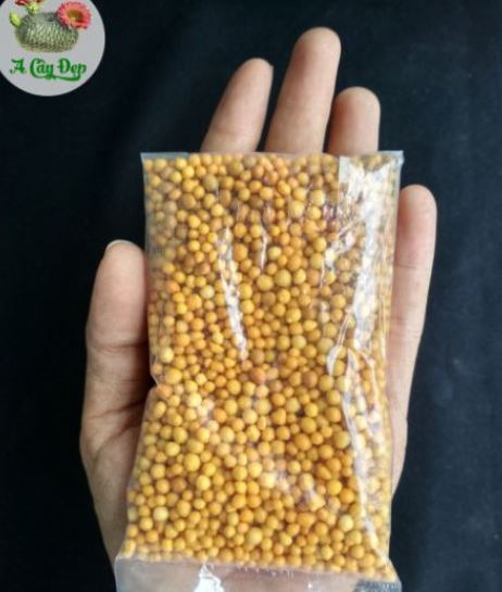 PHÂN TAN CHẬM DÀNH CHO SEN ĐÁ - XƯƠNG RỒNG