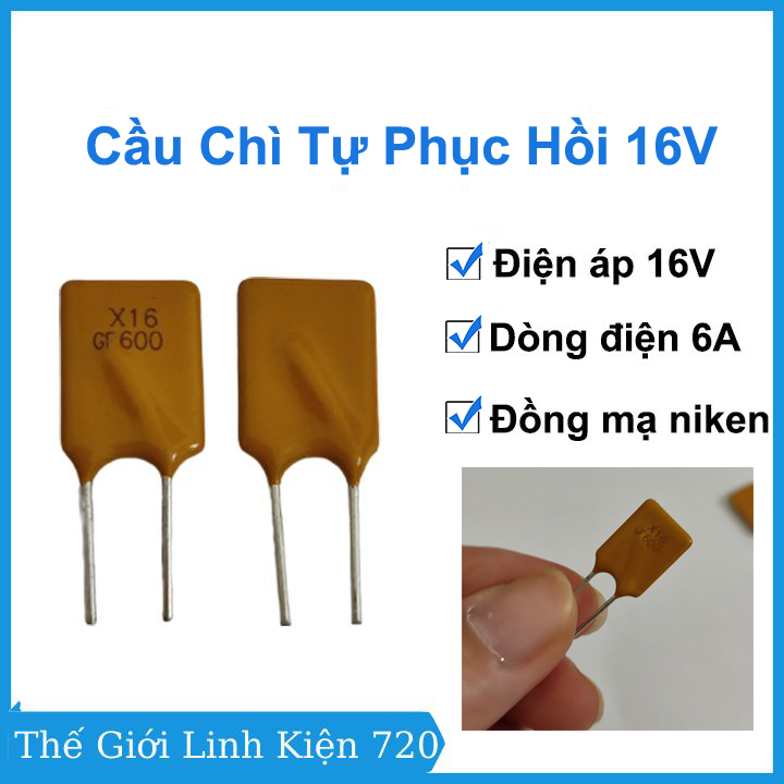 Cầu chì tự phục hồi rgef600 16v 6a