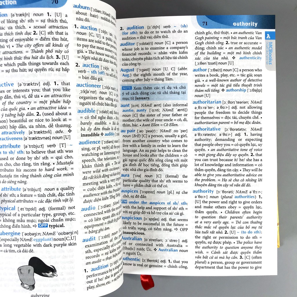 Book-English-Vietnamese Dictionary (Paperback)-McBooks