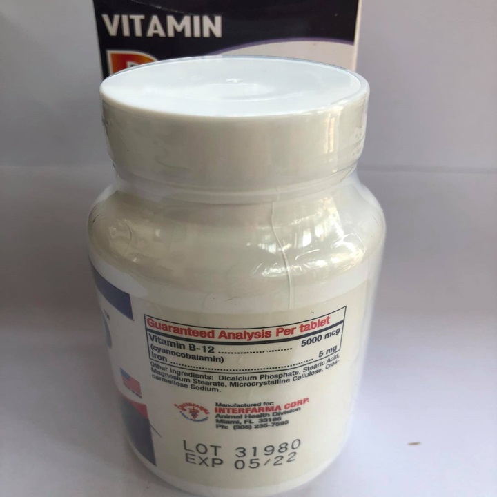 [HCM]B12 5000 GIUP GÀ LEN NUOC MAU - HỦ 60 VIÊN
