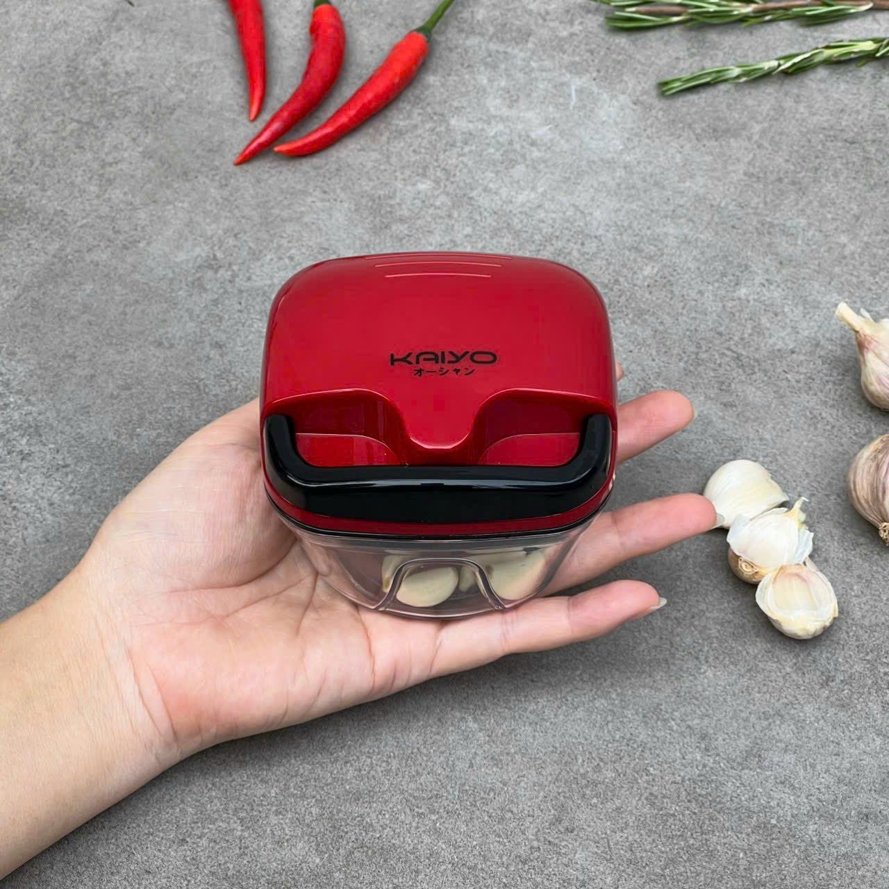 Kaiyo Premium Garlic Chopper Manual Kitchen Tool