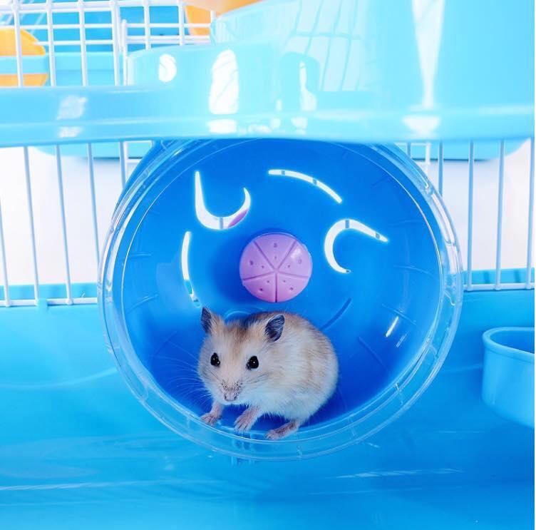 [HCM]Lồng hamster Hoàng Tử Bé size LỚN d26-r205-c29cm .